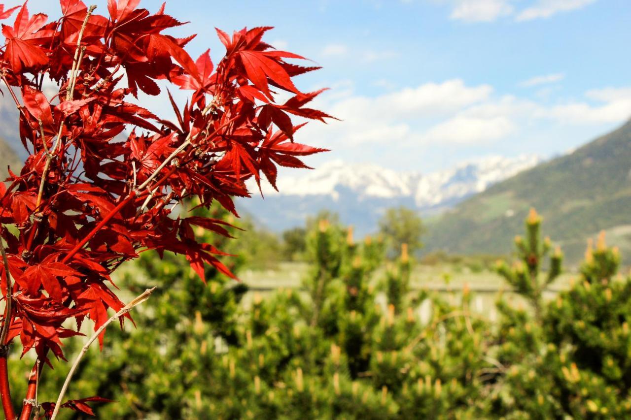 Hof Schupfer - Alpstay Naturns Dış mekan fotoğraf