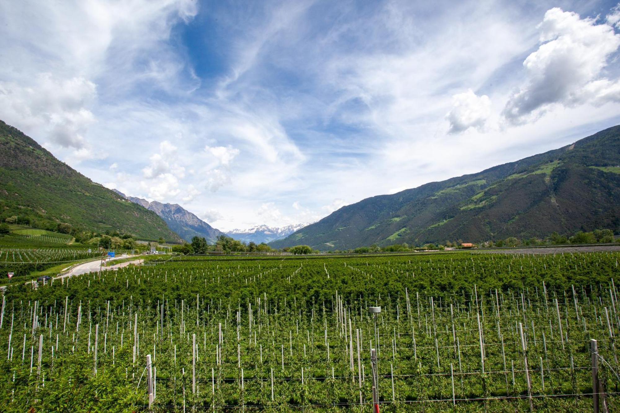 Hof Schupfer - Alpstay Naturns Dış mekan fotoğraf